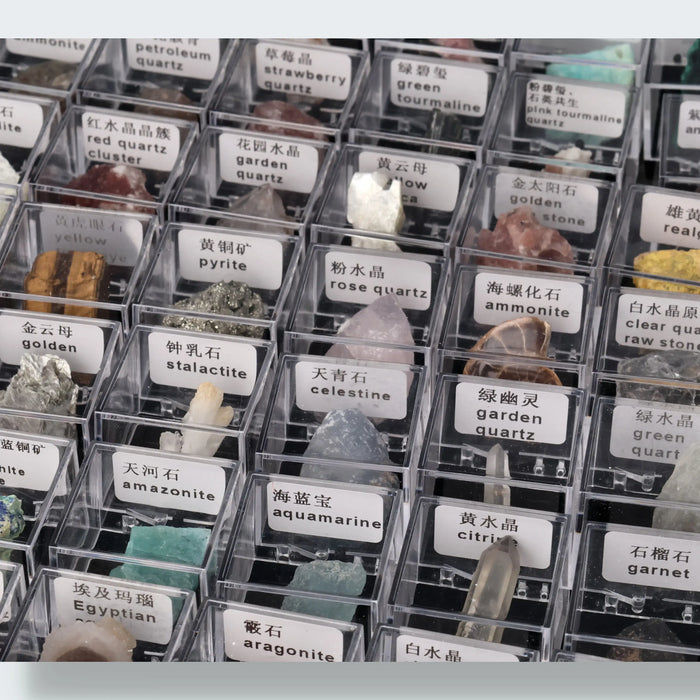 Mystery Specimen Box (3.5 cm)