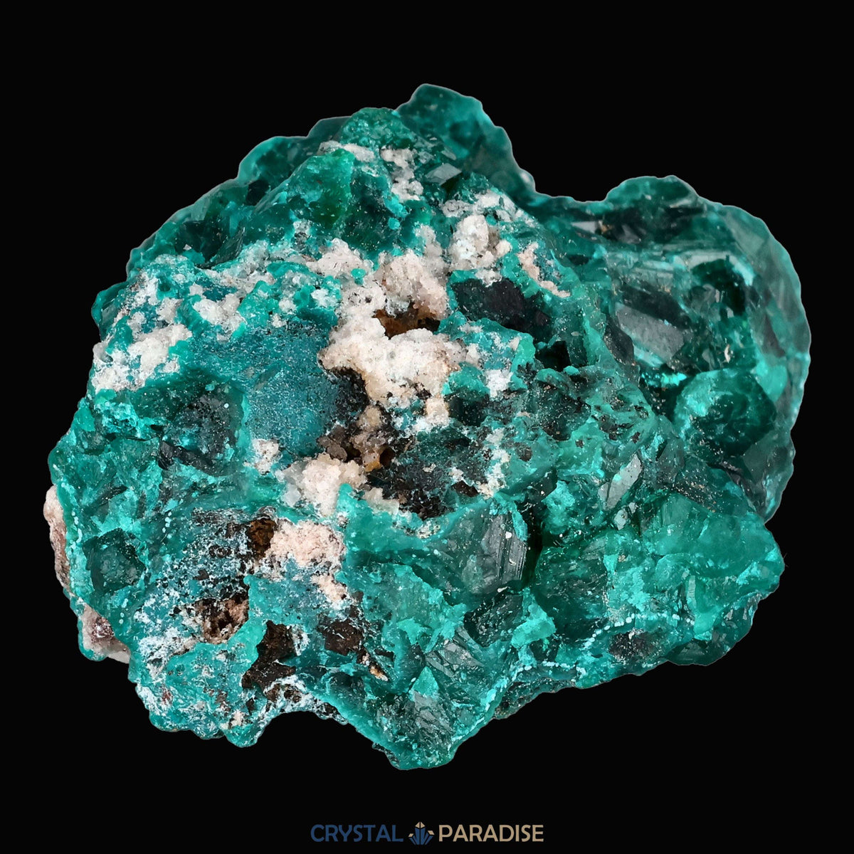 Dioptas aus dem Kongo (40,6) - crystal paradise