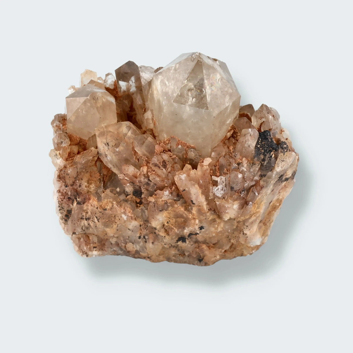Citrin Stufe aus Kunduluni, Kongo (1615g) - unbehandelt