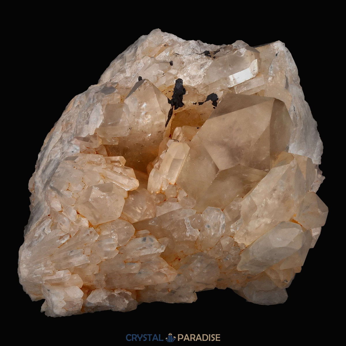 Citrin Handstufe aus Kunduluni, Kongo (543g) - unbehandelt - crystal paradise