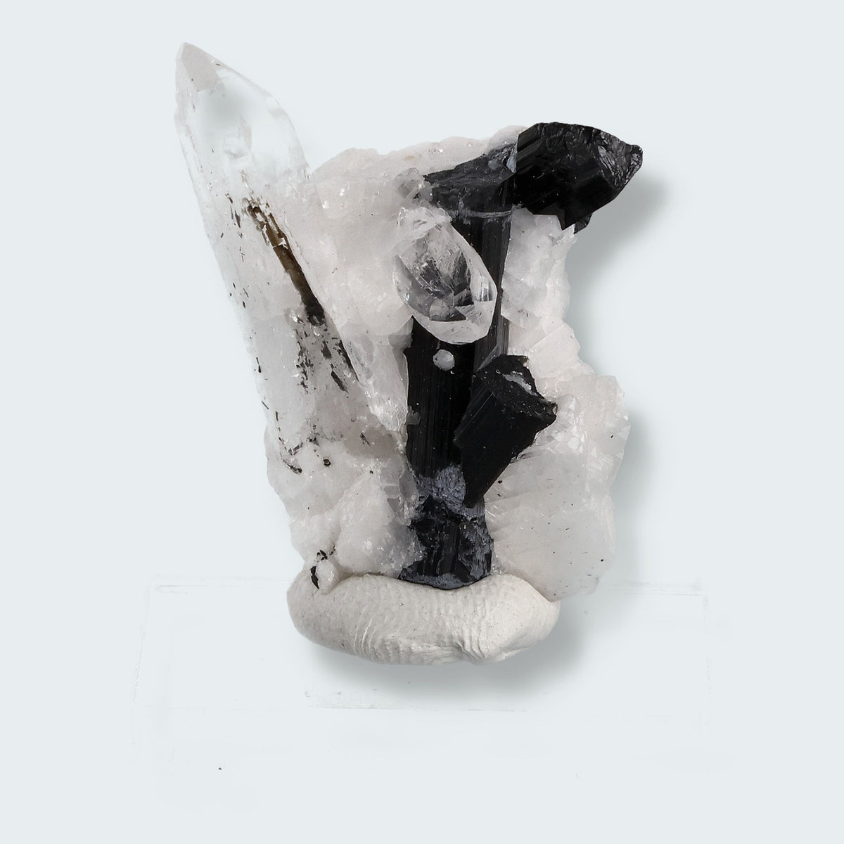 Schwarzer Schörl Turmalin an Himalaya Bergkristall (11g)