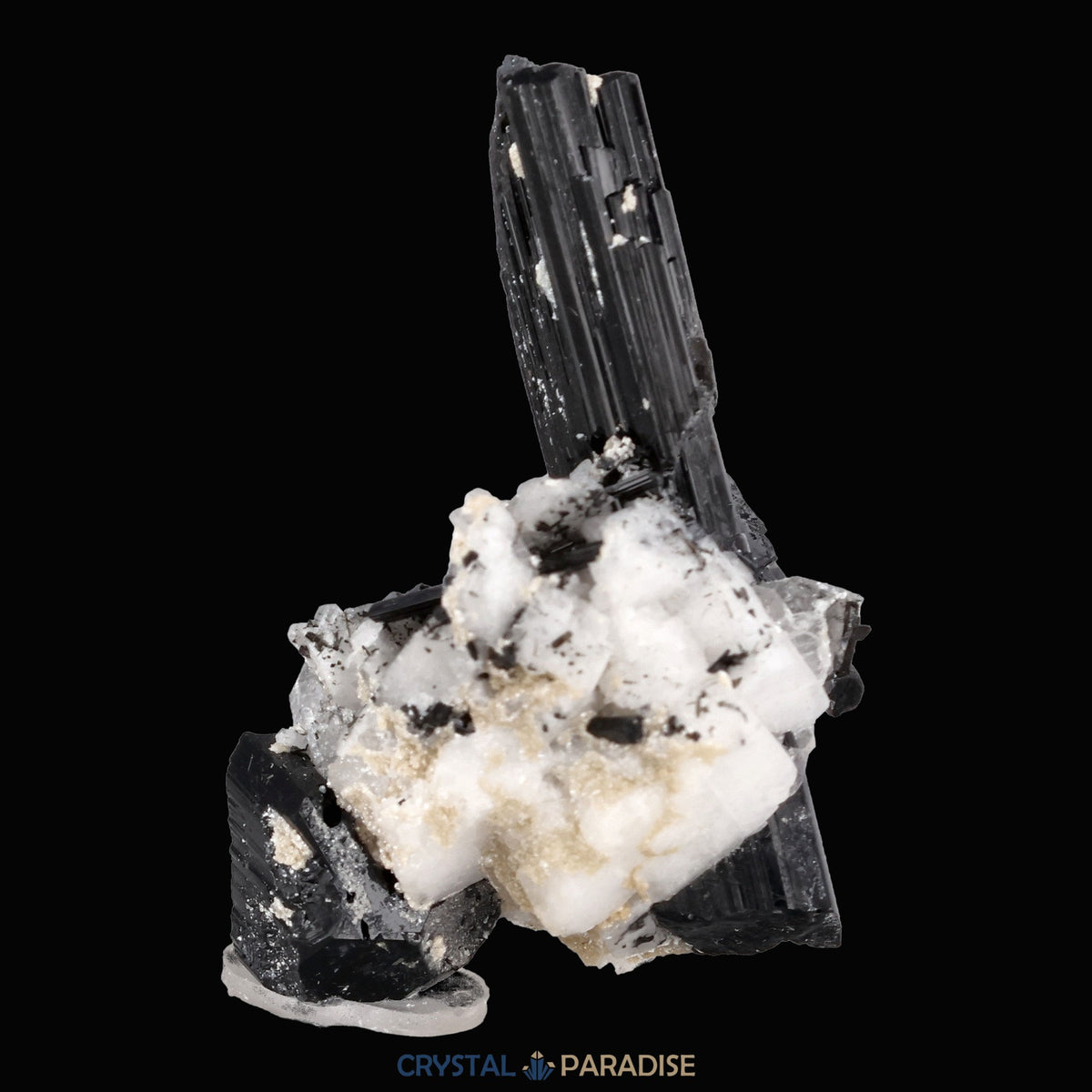 Schwarzer Schörl Turmalin an Himalaya Bergkristall (16g) - crystal paradise