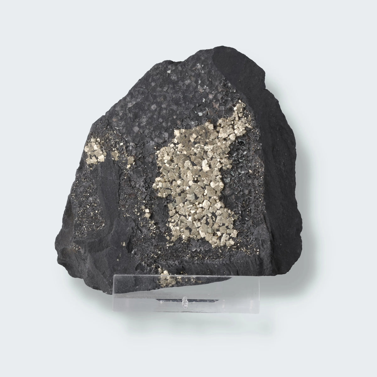 Pyrit auf Shungit aus Brasilien (147g)