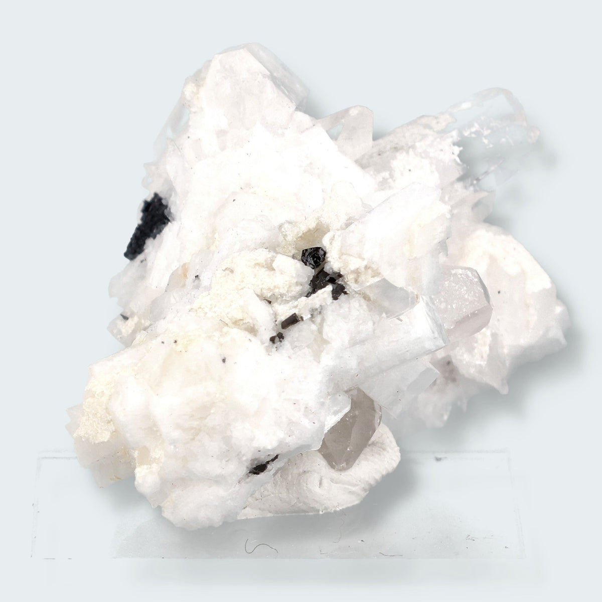 Schwarzer Schörl Turmalin an Himalaya Bergkristall (26g)