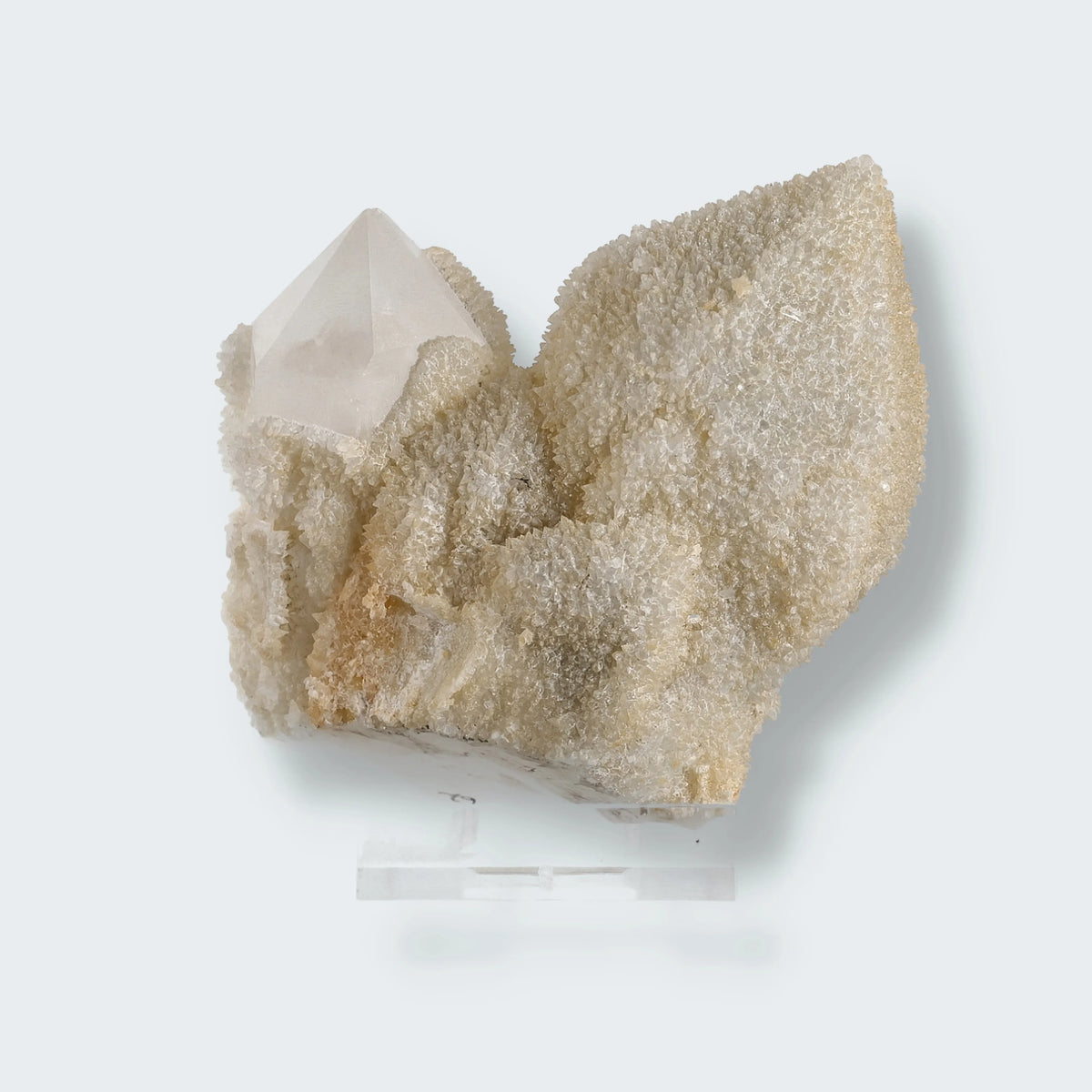 Bergkristall aus Val Bedretto, Tessin, Schweiz, Stufe 8,0 × 5,5 × 9,0 cm