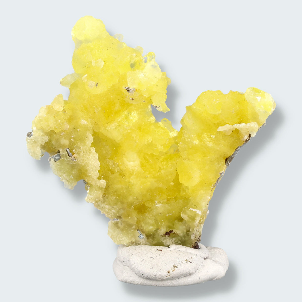 Brucit aus Pakistan - Kharan, Pakistan, Stufe 6 × 5 × 1,5 cm