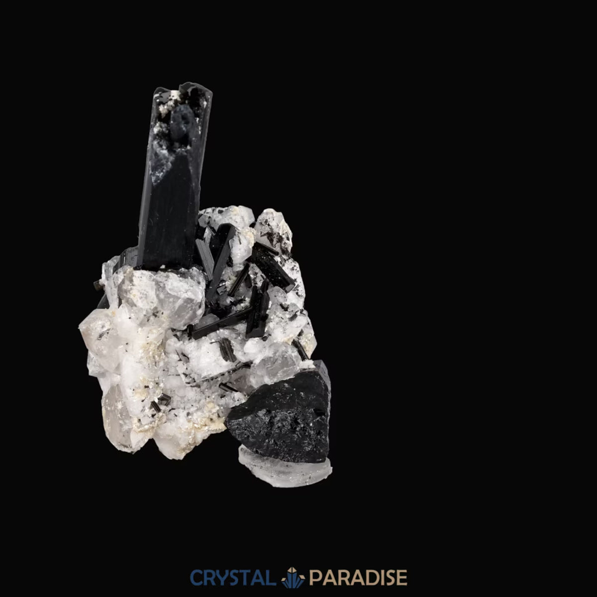 Schwarzer Schörl Turmalin an Himalaya Bergkristall (16g) - crystal paradise