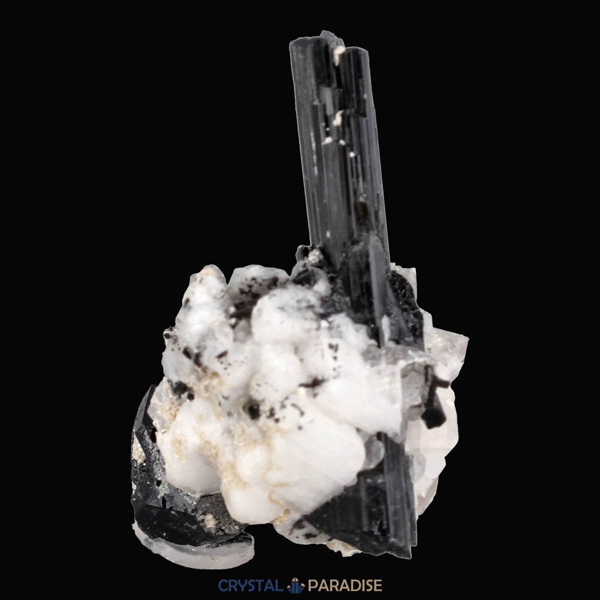 Schwarzer Schörl Turmalin an Himalaya Bergkristall (16g) - crystal paradise