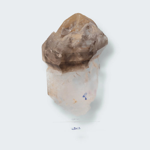 Zepter Rauchquarz mit Fensterwachstum aus Namibia (30g)