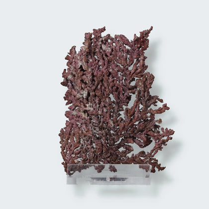 Natives Kupfer aus Russland (49,7g)