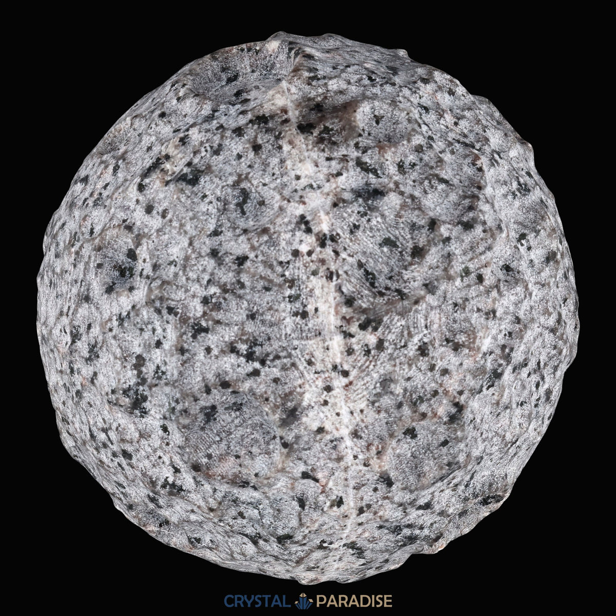 Yooperlit Mond aus Michigan USA (1500g) - Glowing Rock - UV reaktiv – Ansicht 13